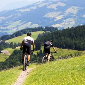 best bicycle travel offers, ready tours | hanitravel
