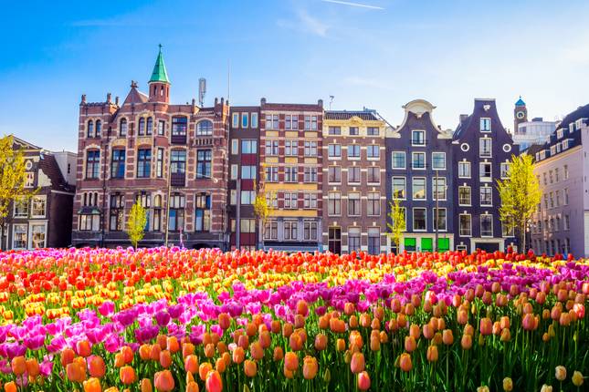 Get Social Central Europe Highlights Europe tours 2024