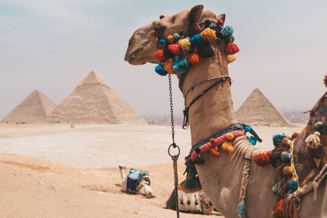 Best 10 Egypt Tours & Trips TUT Honey Moon Tour 8 Days from Cairo - Cairo, Luxor Nile Cruise, Aswan