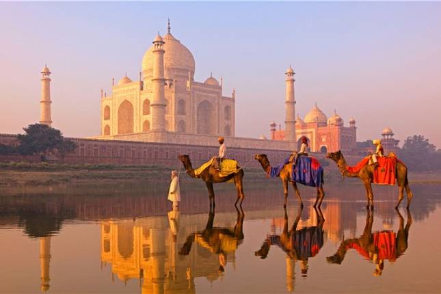 Taj Mahal and Wildlife with Royal Stay at Castles 2024