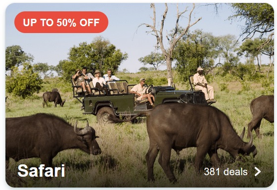 Travel Deals safari 2024