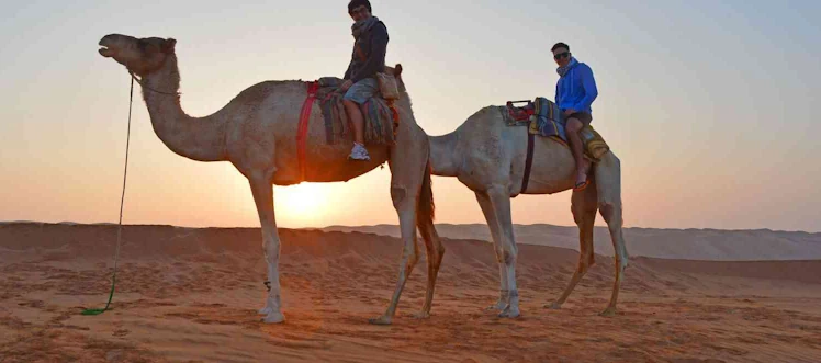 Gems of Oman 5 Days offers