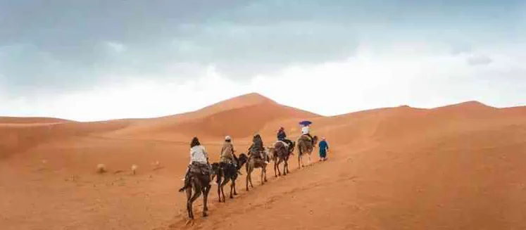 Qatar Travel Doha Stopover 3 days
