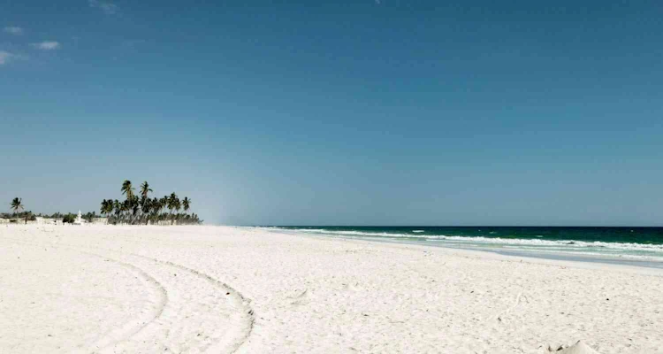South Of Oman Salalah 4 days