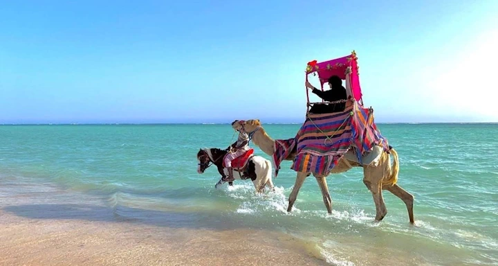 Ultimate Jeddah City Package 2025