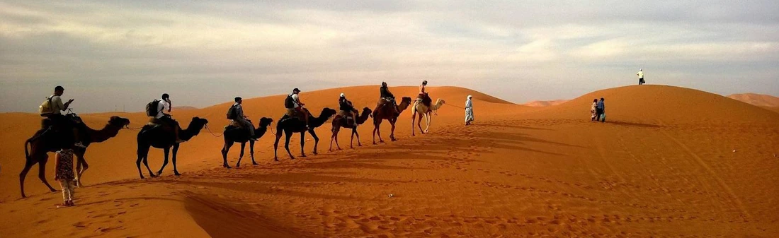 Vacation in Saudi Arabia Daily Departure & Private Guide