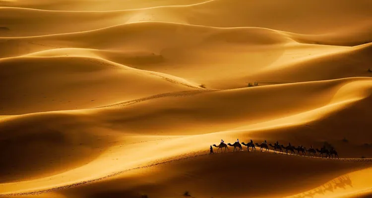 Adventure Morocco 8 Days offers