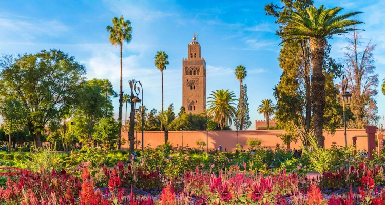 Atlas Panorama 8 days from Marrakesh 2025