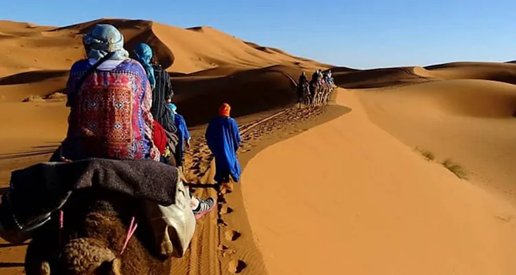 Morocco Kasbahs & Desert 2025