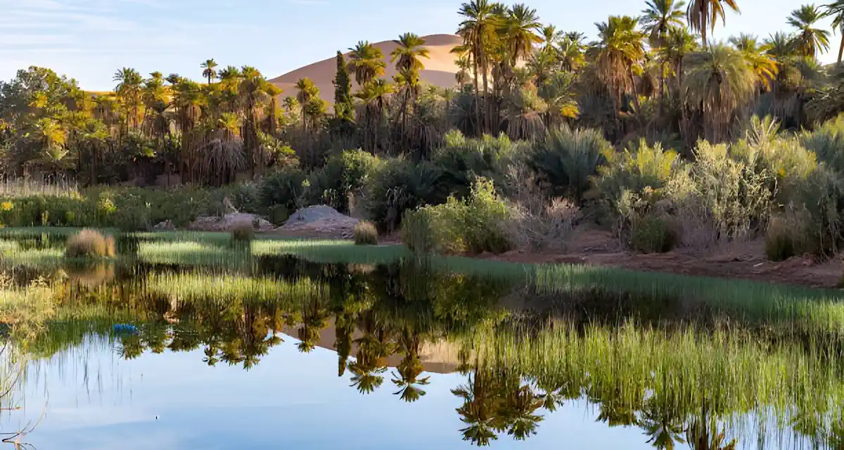 Algeria 7 days M’Zab Valley & Oases Tour