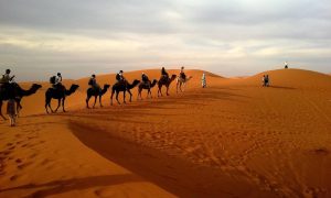 Saudi Arabia Heritage Tour 7-Day  Jeddah  and Riyadh