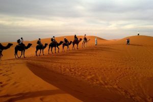 Saudi Arabia Heritage Tour 7-Day  Jeddah  and Riyadh